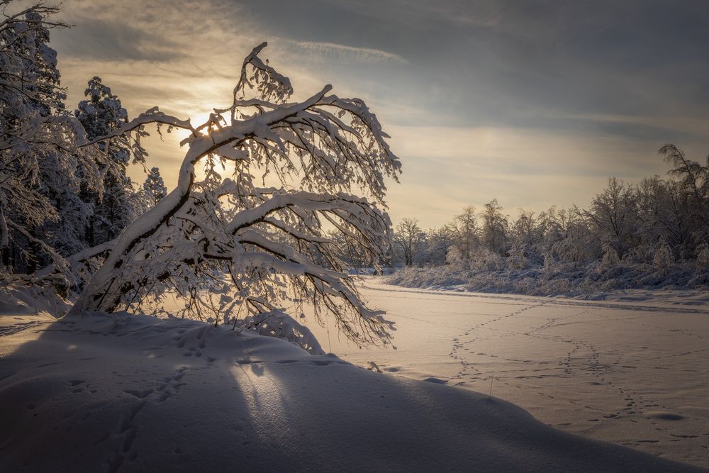 Photograph by Дмитрий Черепков
