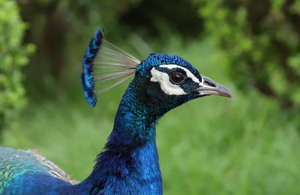 Photograph by Se Lena