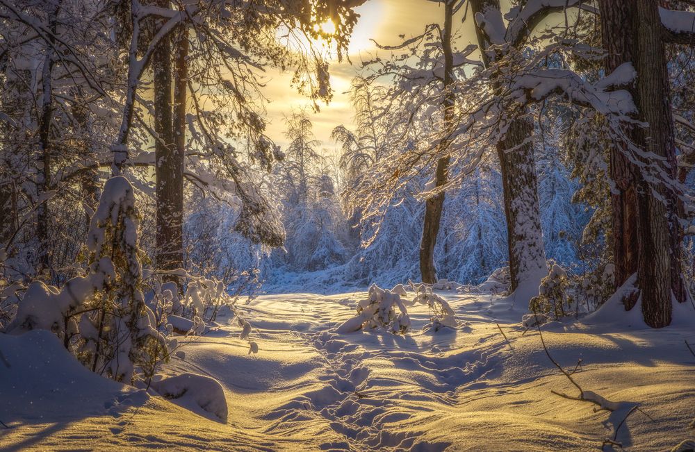 Photograph by Дмитрий Черепков