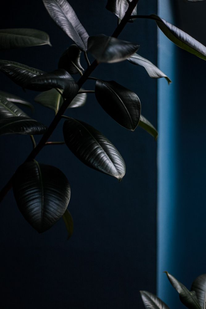 Photograph by Наталья