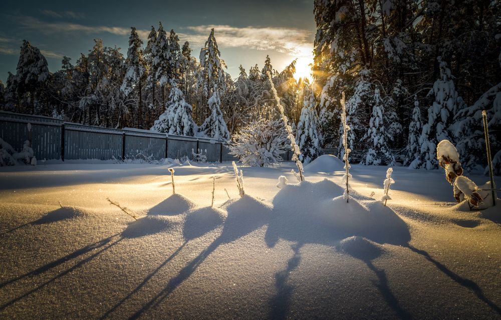 Photograph by Дмитрий Черепков