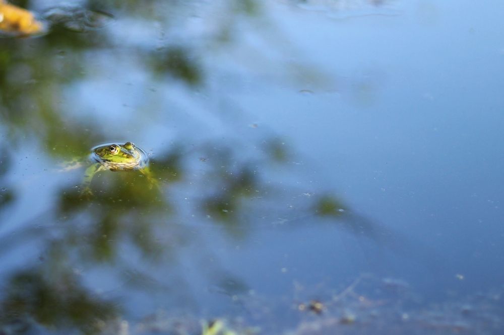 Photograph by Антон Иванов