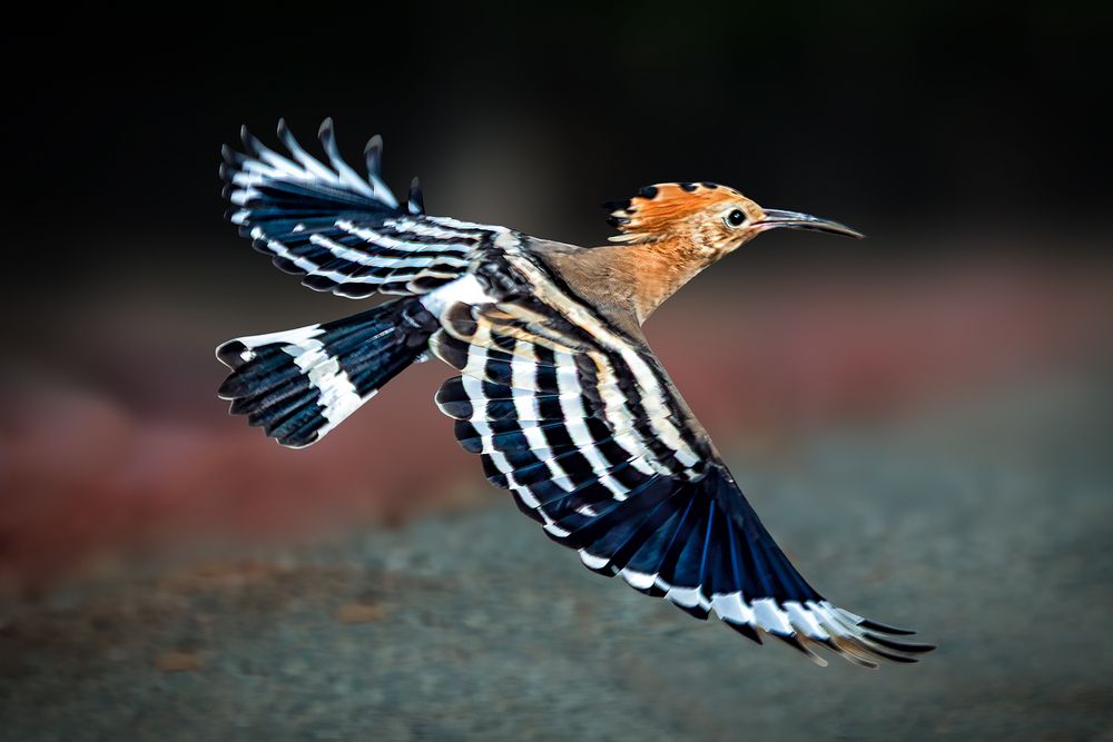 Photograph by Юрий Михайлович Головкин