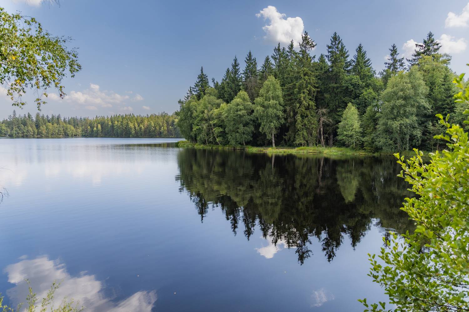 Фотография #13161096