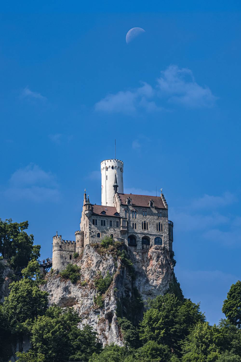 Фотография #13161097