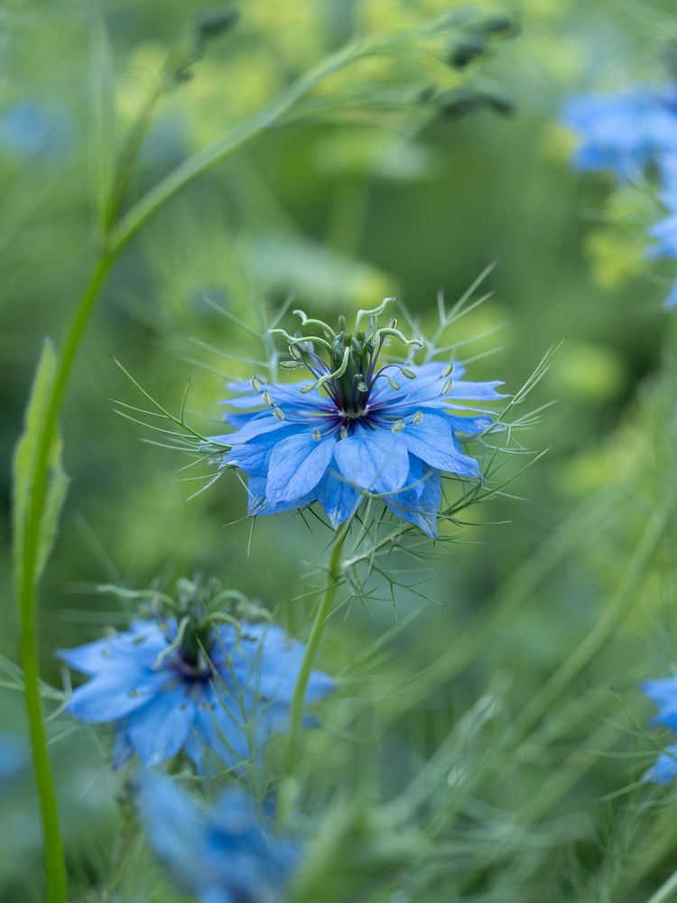 Photograph by Ирина Протченко