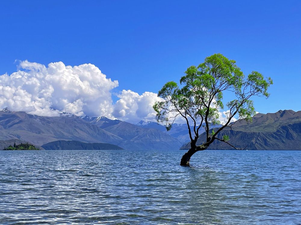 Photograph by Марина