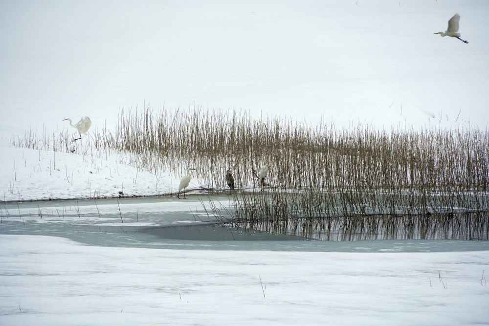Фотография автора света хлевненко