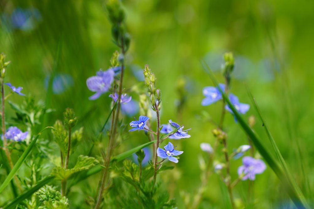 Photograph by Алексей Поликарпов