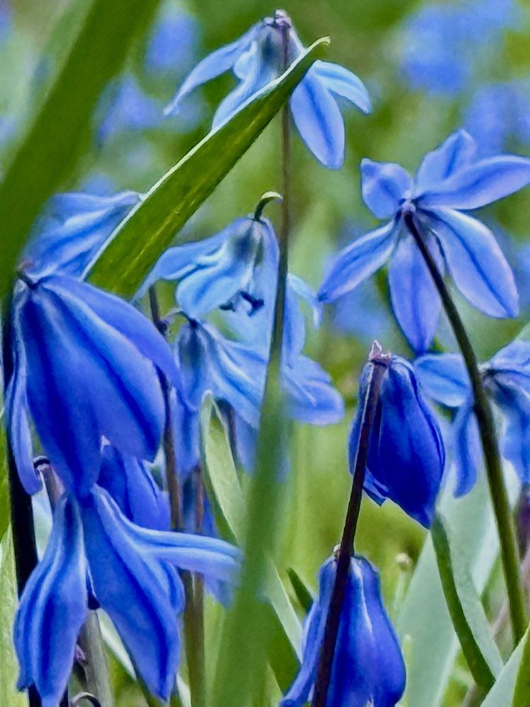 Photograph by Валентина Колесова