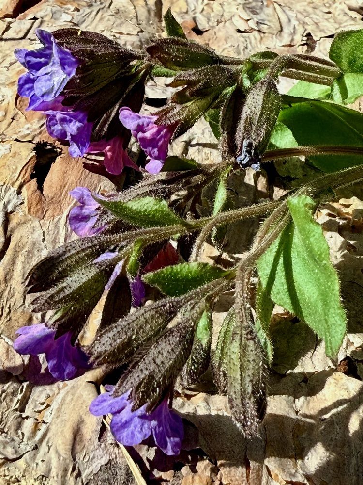 Photograph by Валентина Колесова