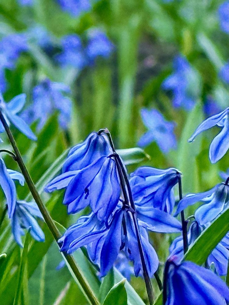 Photograph by Валентина Колесова