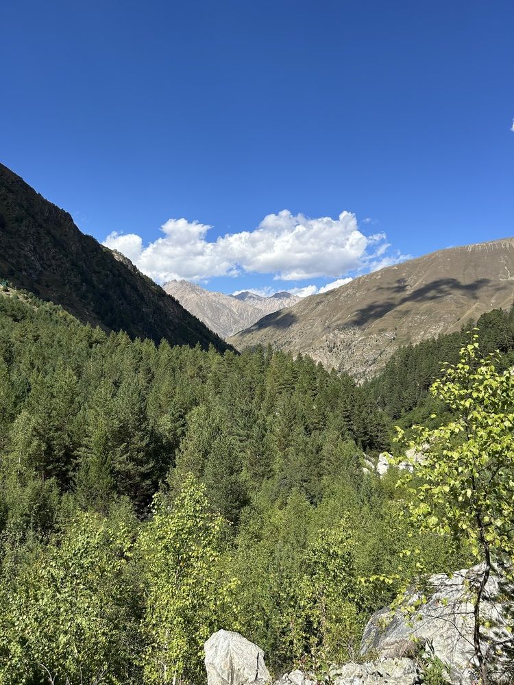 Photograph by Елена Власова