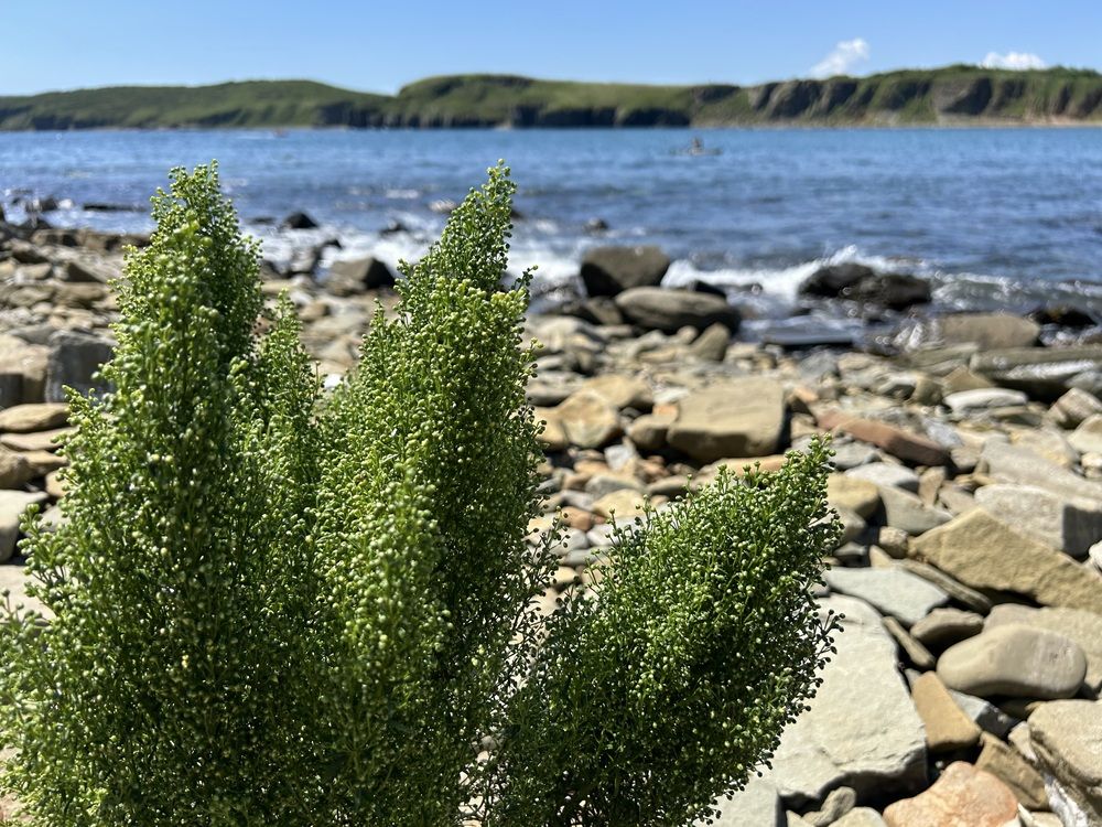 Photograph by Елена Власова