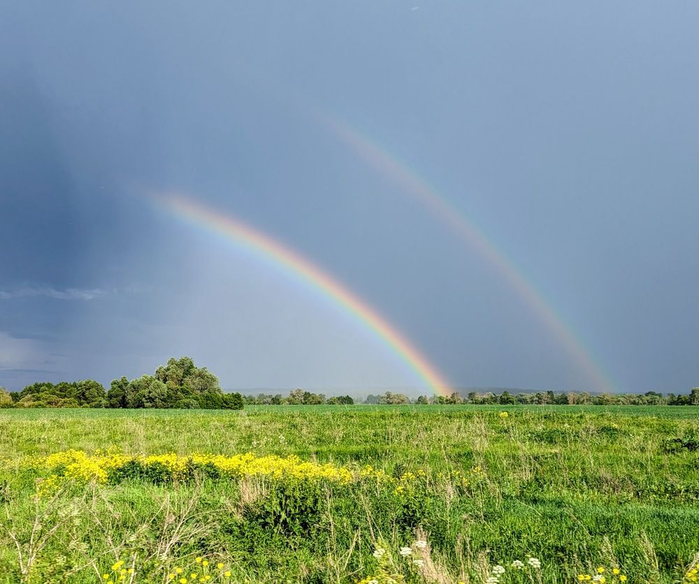 Photograph by Дарья Булавина