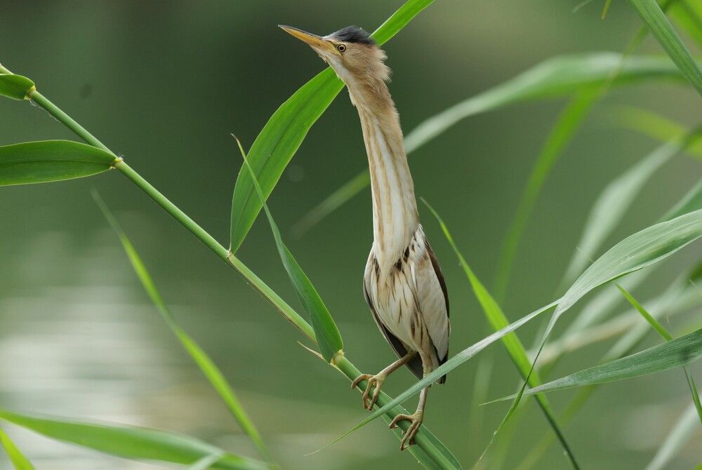 Photograph by Оксана Архипова