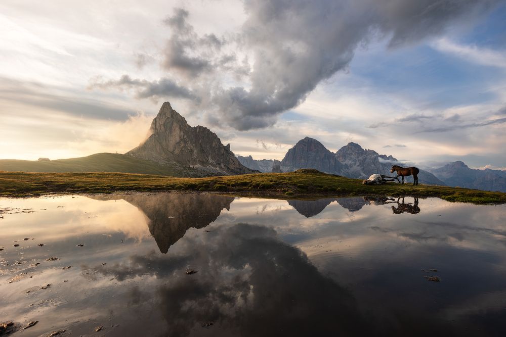 Photograph by Pierluigi Nisi