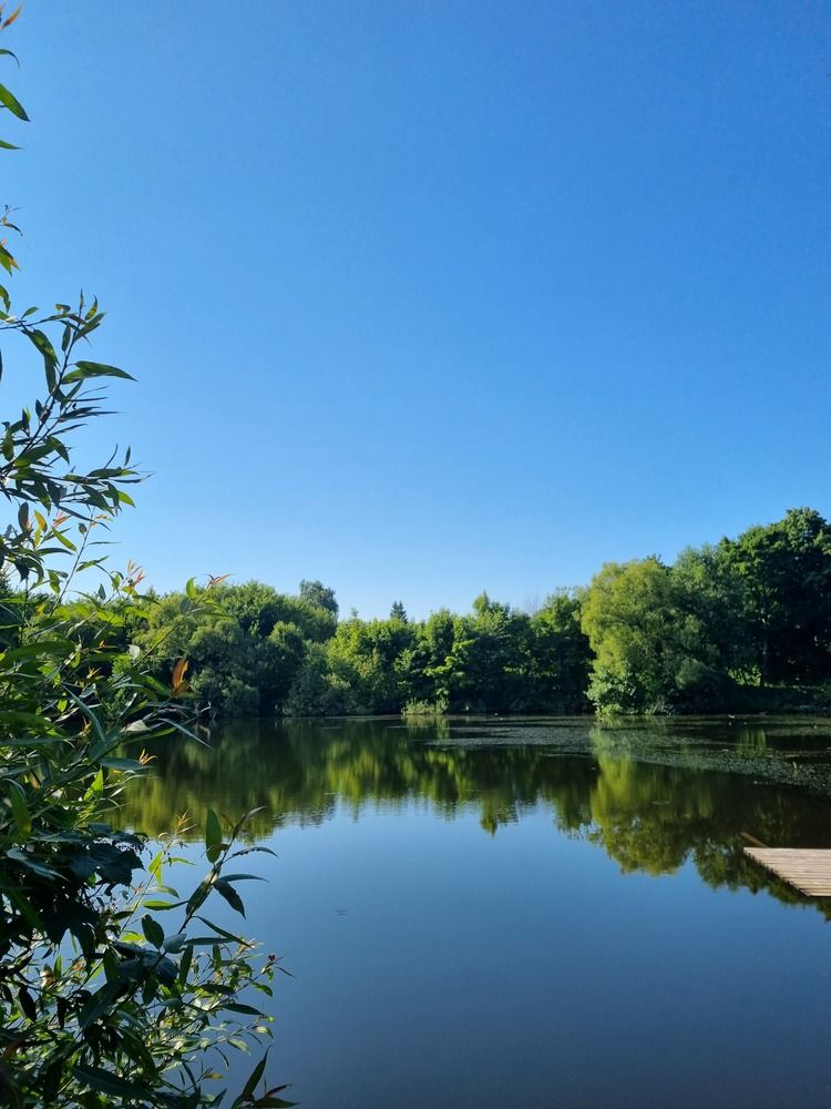 Фотография автора Наталья Агапова