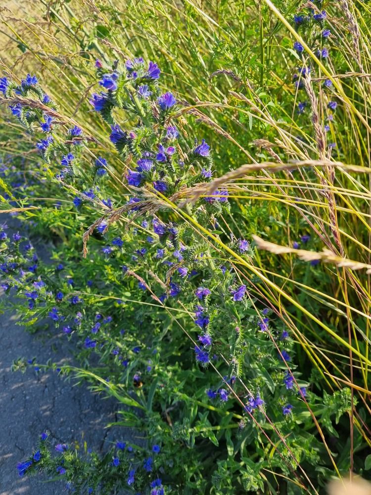 Фотография автора Наталья Агапова