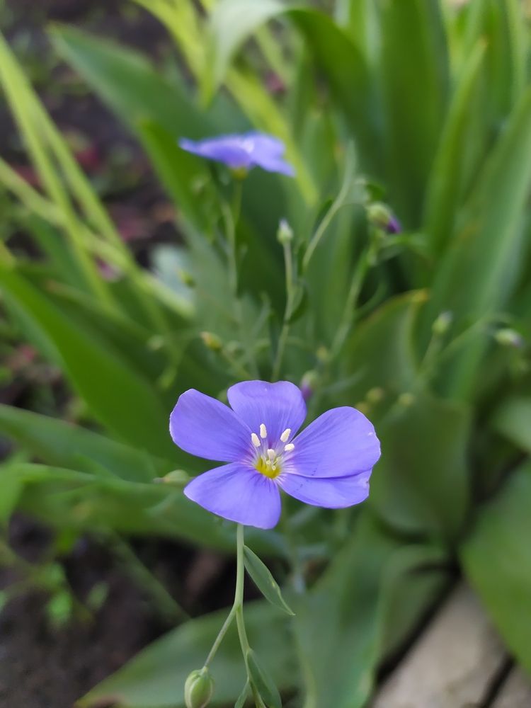 Фотография автора Наталья Агапова