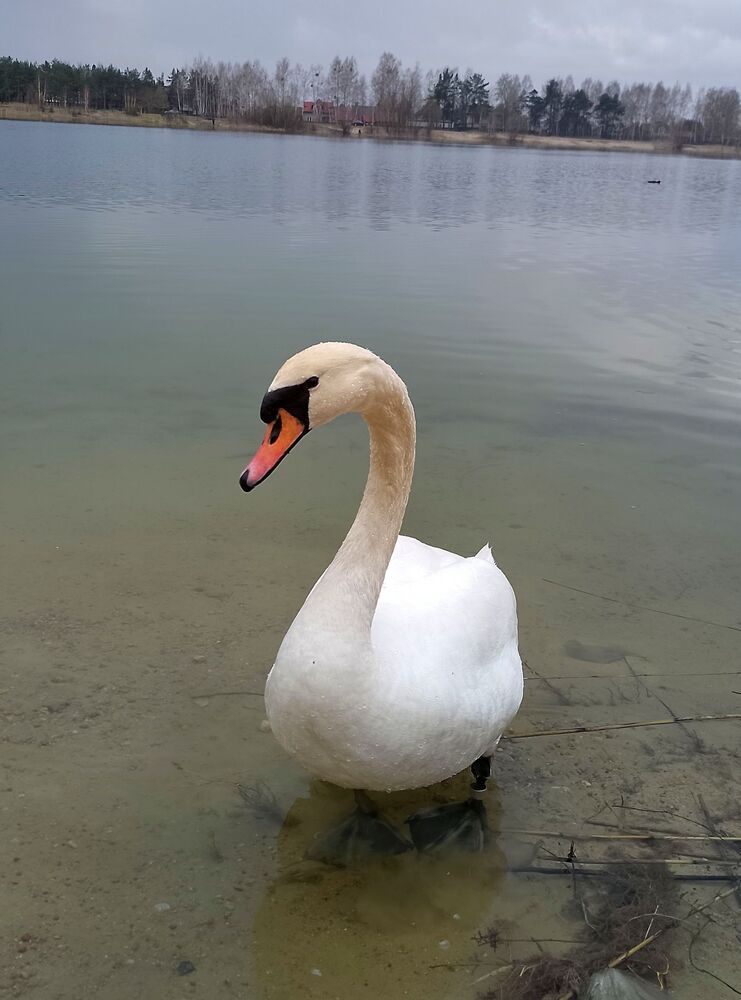 Фотография автора Михаил Бурминский