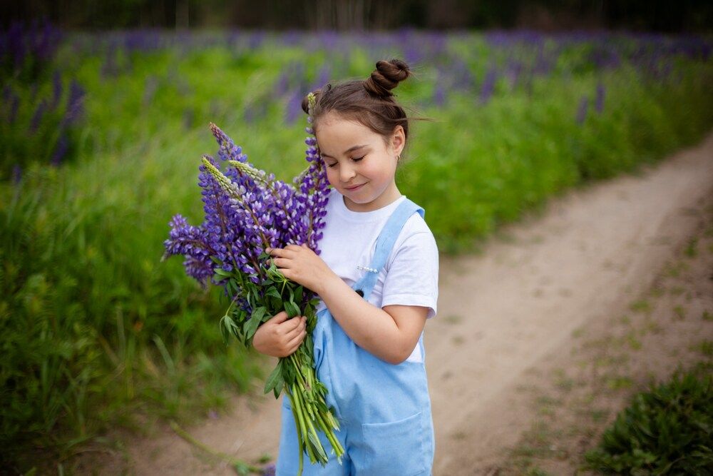 Фотография автора Алла Белявская