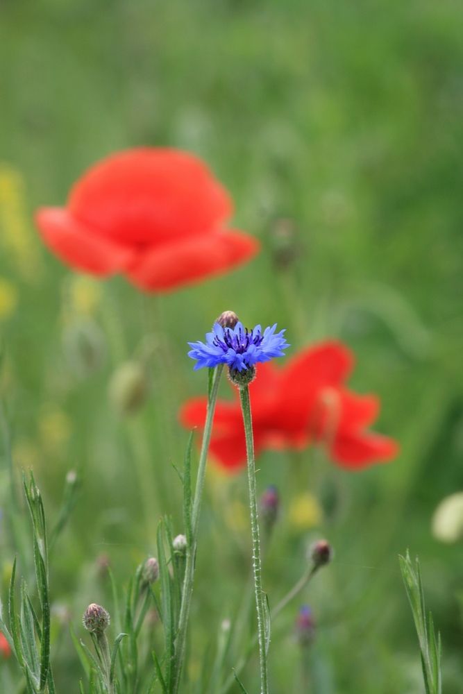 Фотография автора Сергей Христинич