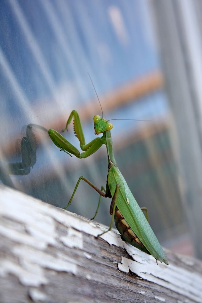 Фотография автора Сергей Христинич