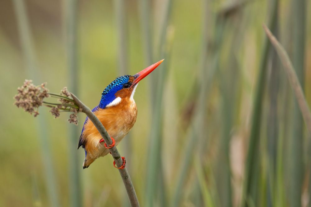 Photograph by Варвара Дронова