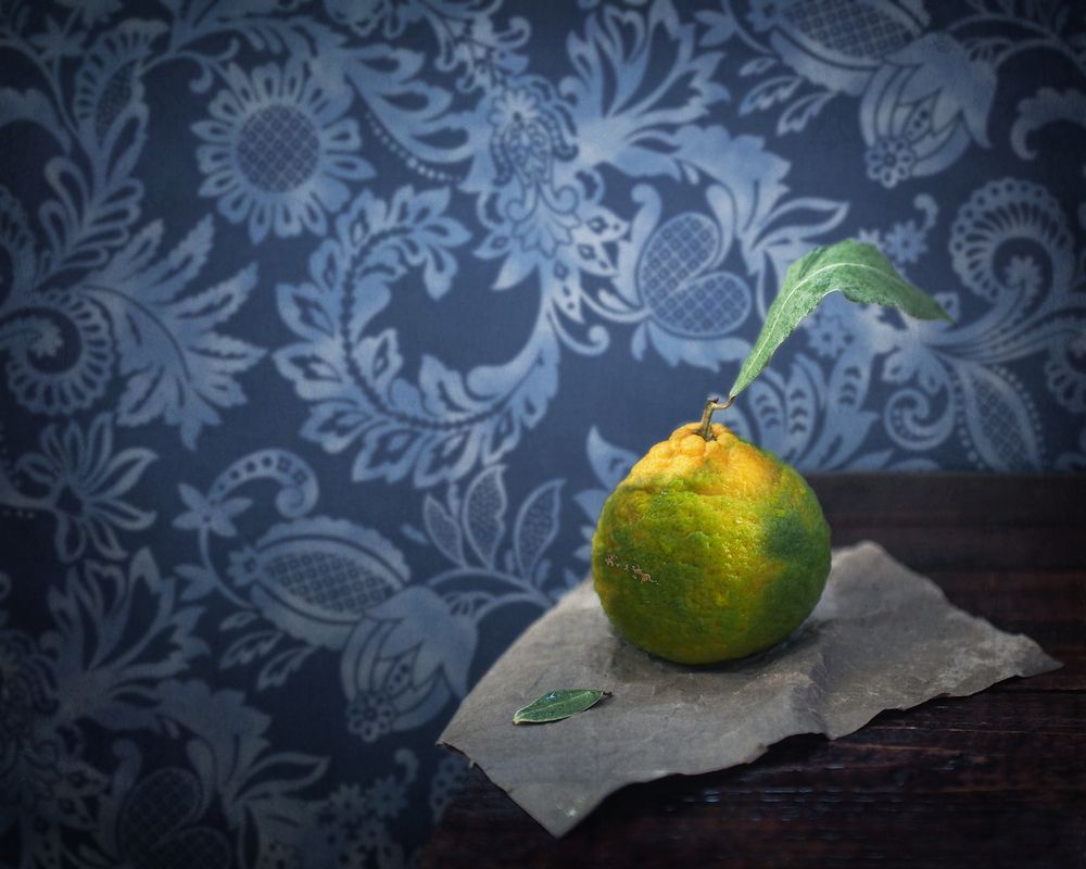 Фотография автора Svetlana Inyusheva