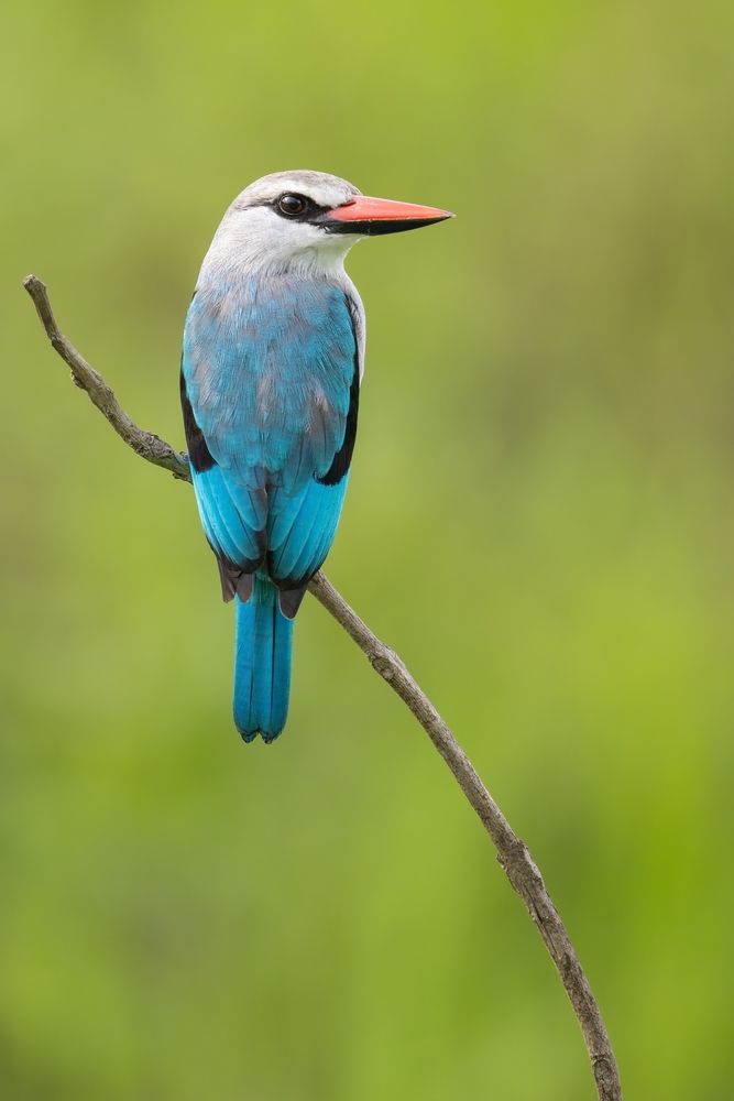 Photograph by Варвара Дронова