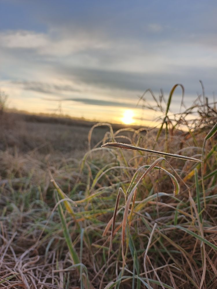 Photograph by Александра Кучер