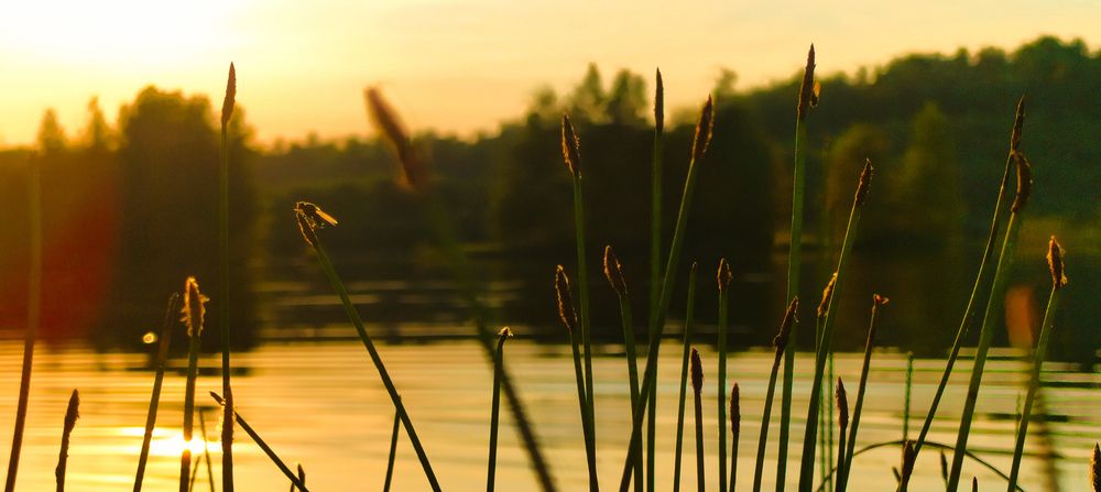 Photograph by Дмитрий Писарев