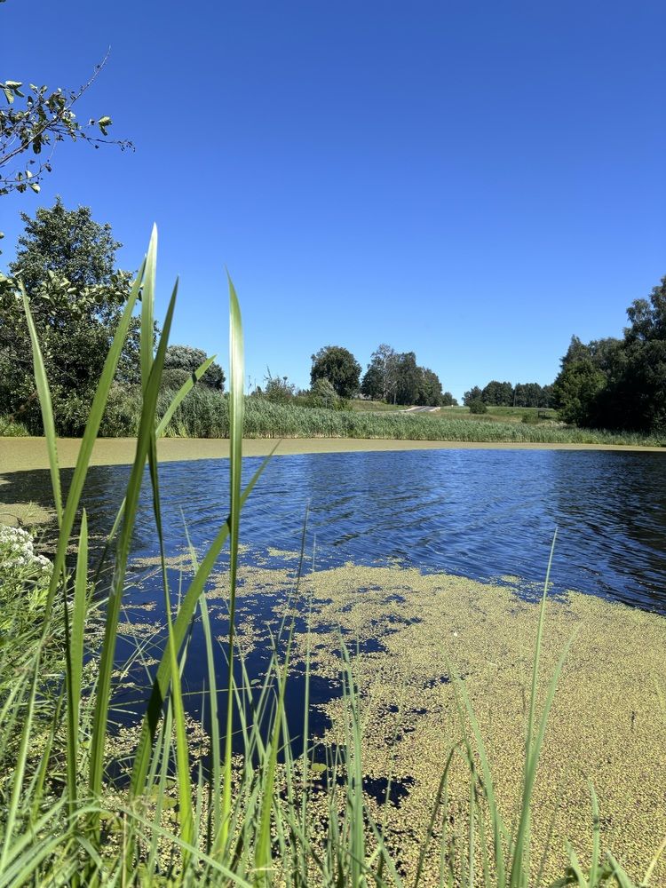 Photograph by Halina Mitsevich