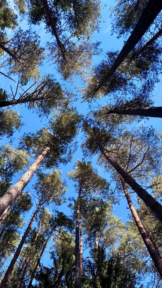 Photograph by Halina Mitsevich