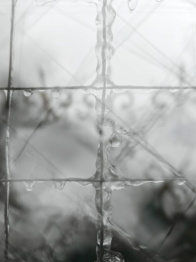 Фотография автора OXANA NAUMOVA