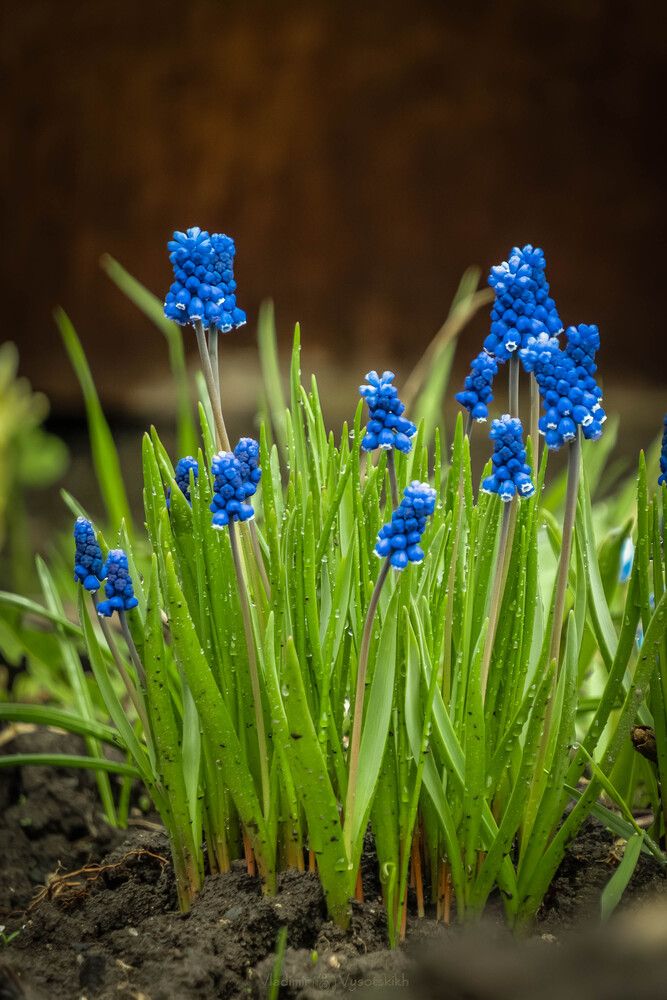 Photograph by Высотских Владимир