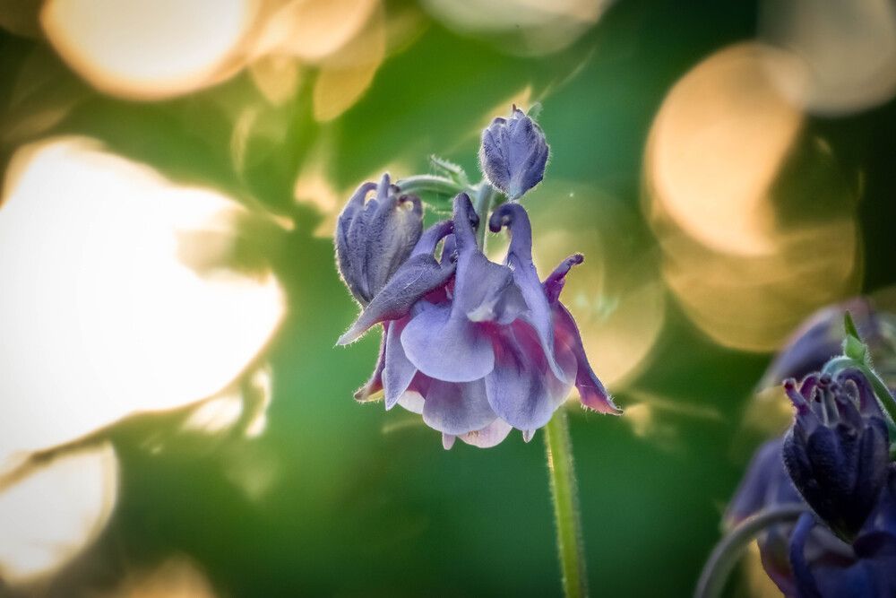 Photograph by Высотских Владимир