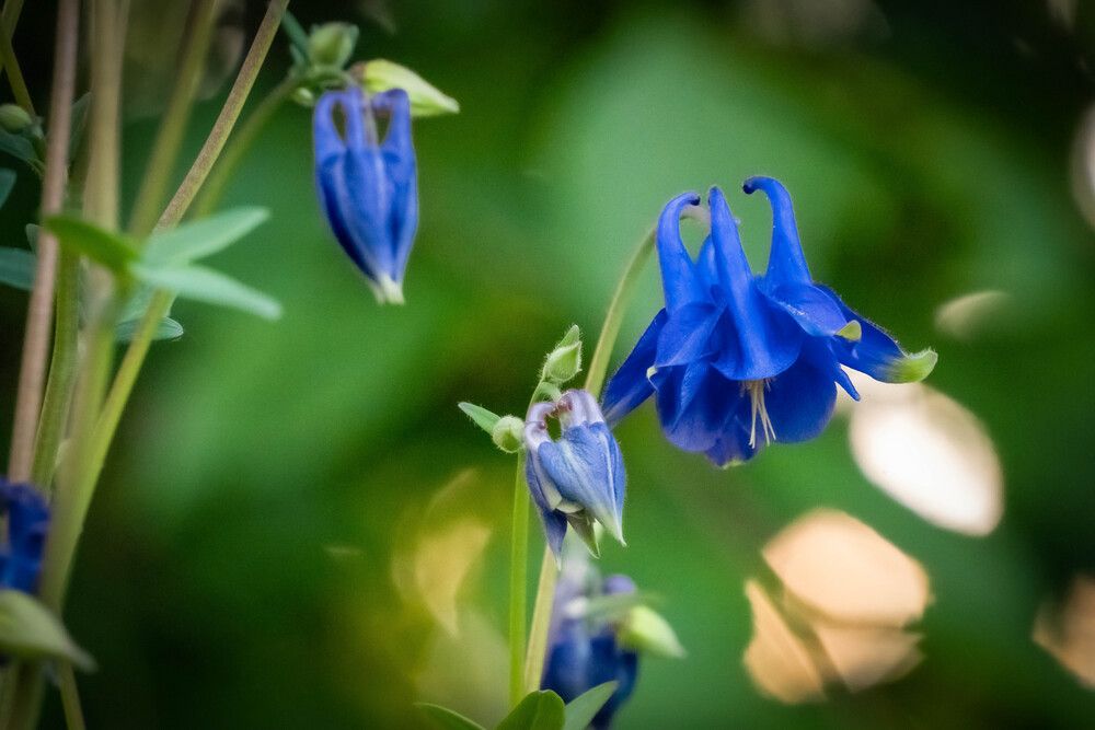 Photograph by Высотских Владимир