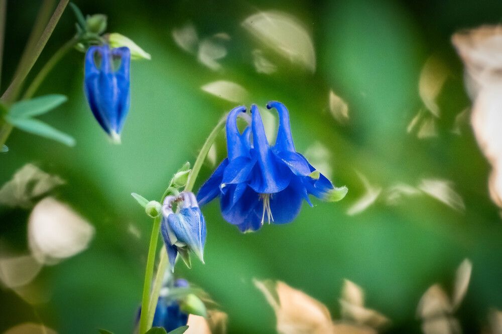 Photograph by Высотских Владимир