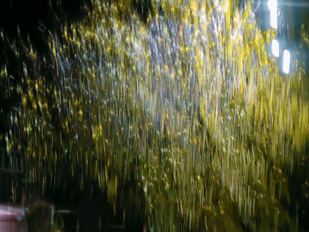 Фотография автора OXANA NAUMOVA