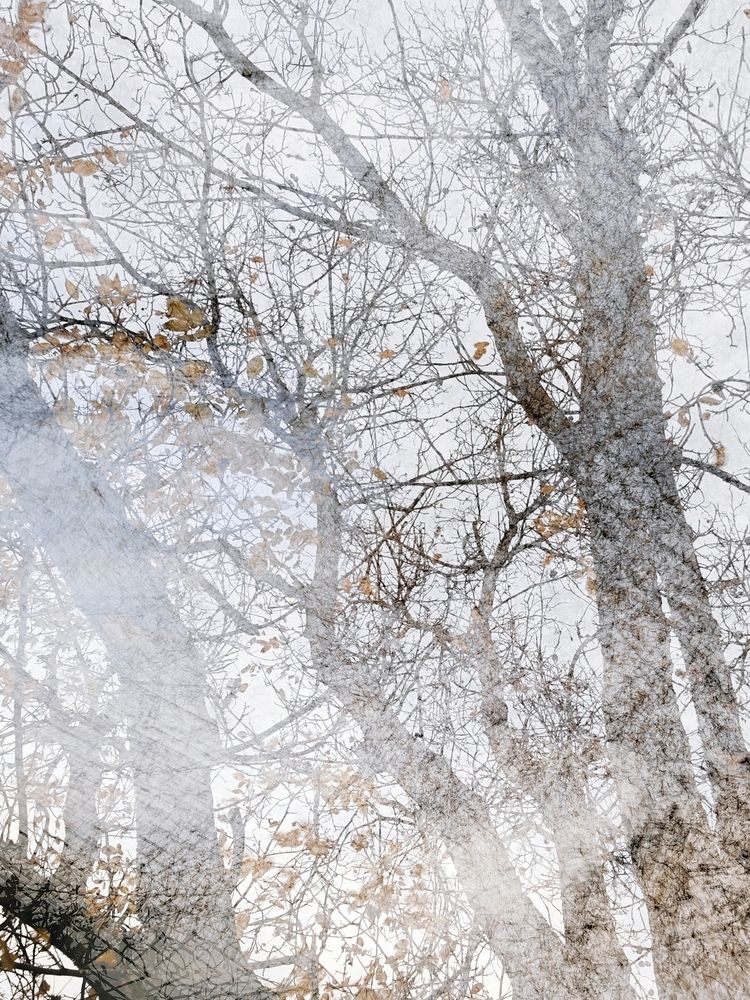 Фотография автора OXANA NAUMOVA