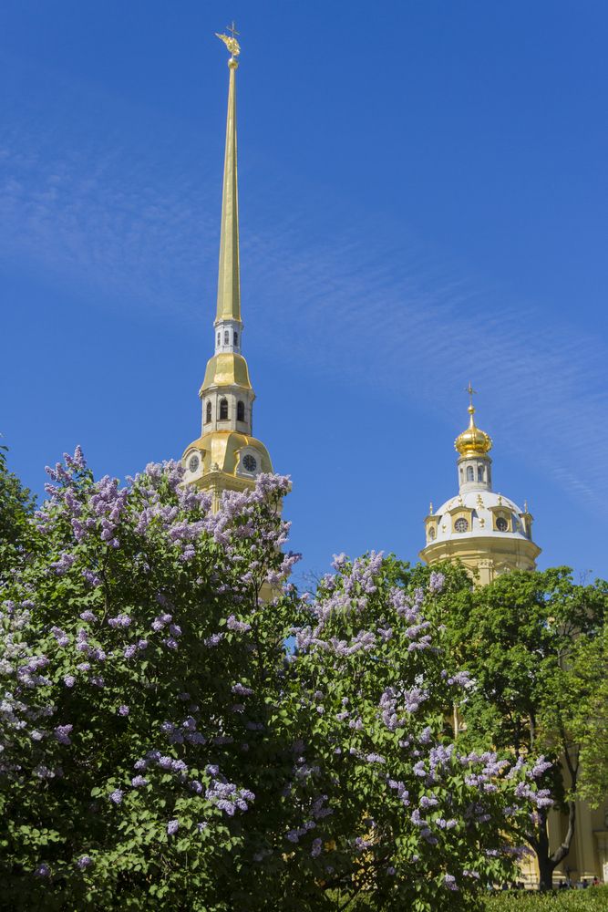 Photograph by Pavel Gukov