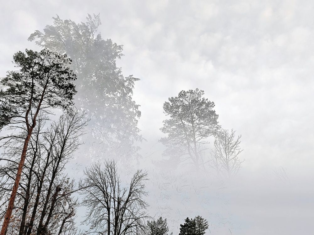 Фотография автора OXANA NAUMOVA