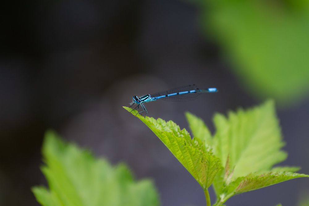 Photograph by ЕЛЕНА Рохо-Фернандес