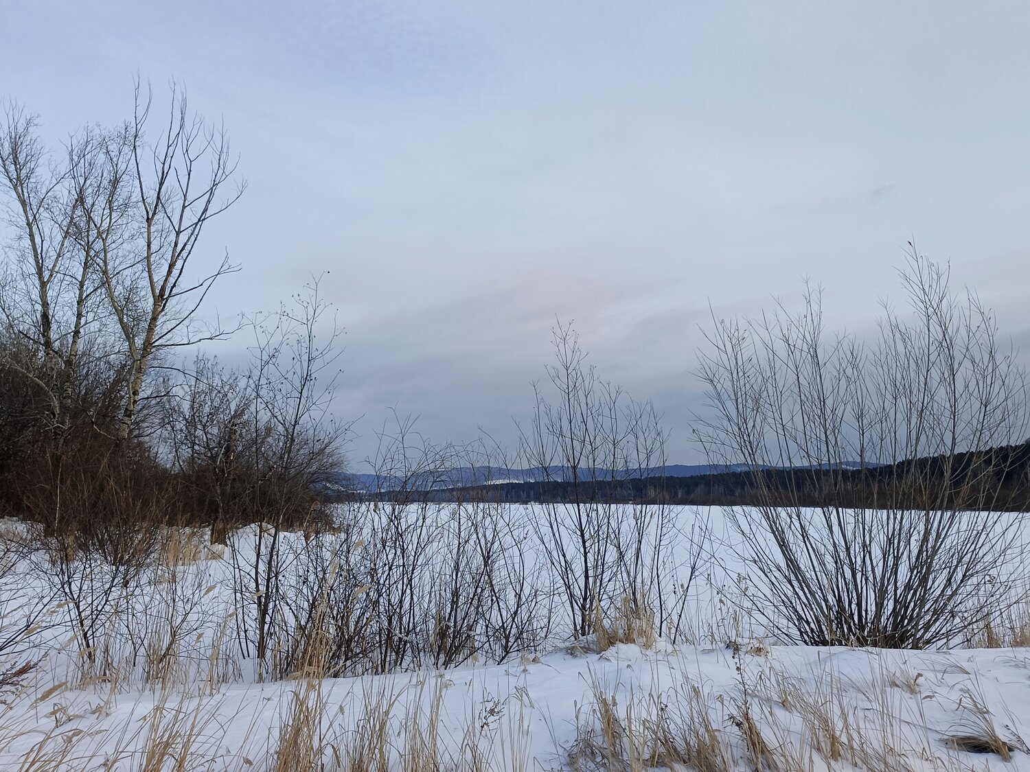 Photo #13161552