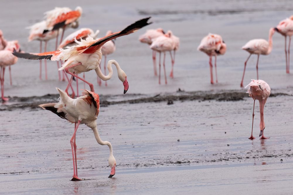 Фотография автора Варвара Дронова