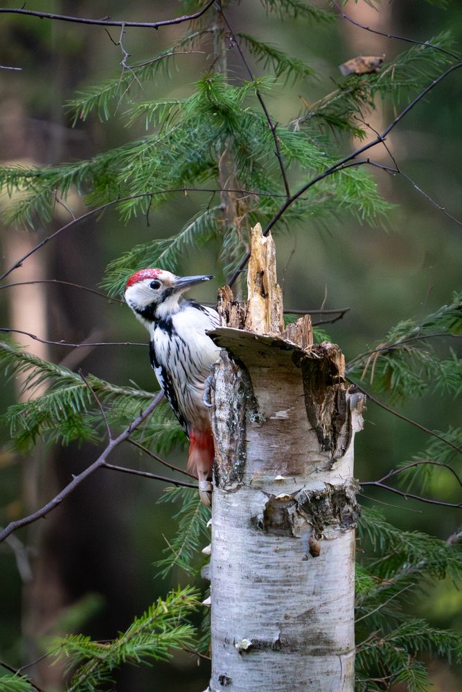 Photograph by Высотских Владимир