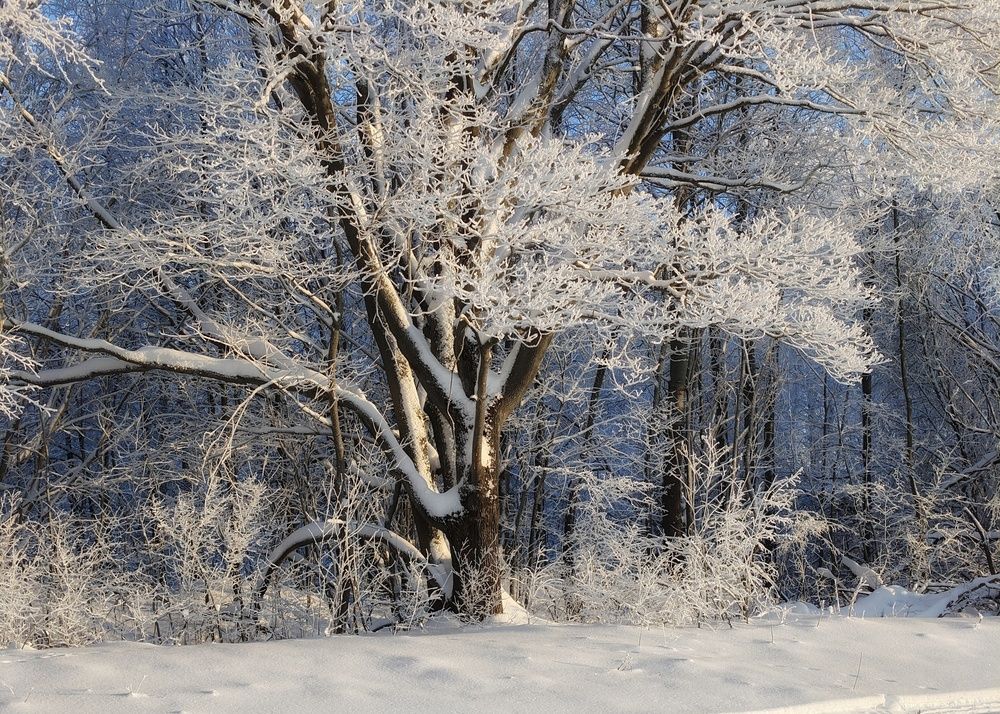 Photograph by Кондрашова Светлана