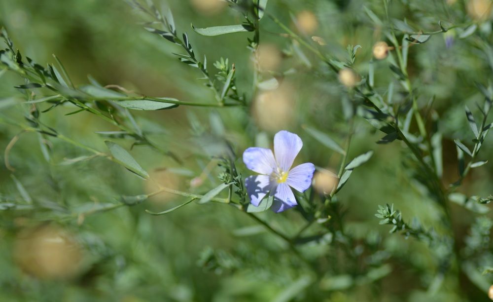 Photograph by Марина Лосева